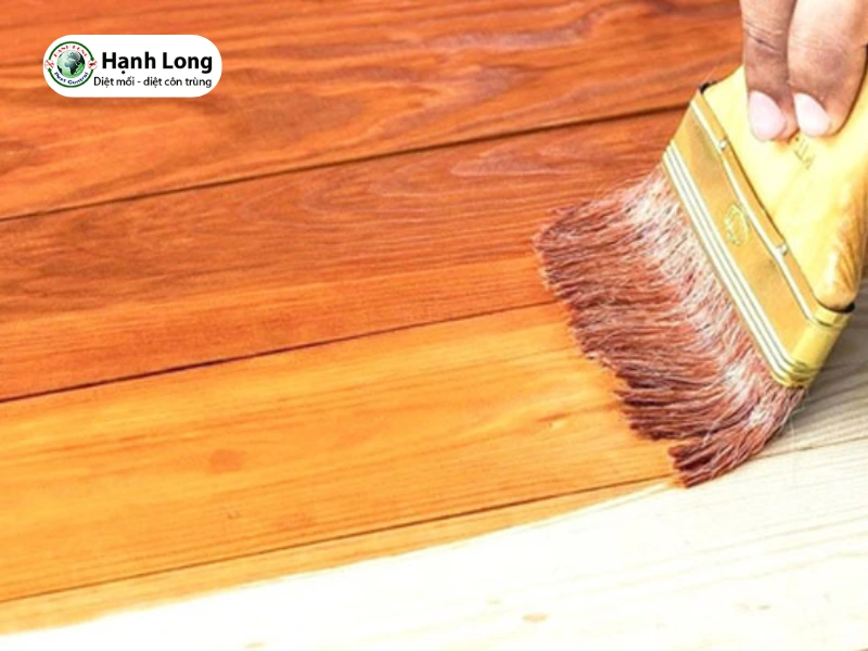 cách trị mối mọt ở gỗ