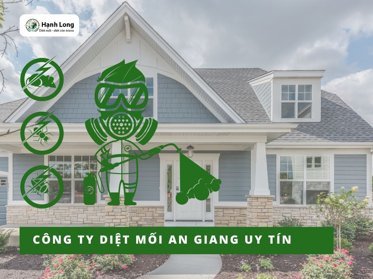 Công ty diệt mối An Giang