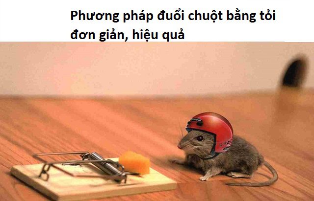 phuong-phap-duoi-chuot-bang-toi-don-gian-hieu-qua