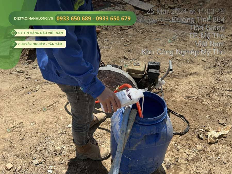 Chi phí diệt mối và chống mối tối ưu theo diện tích