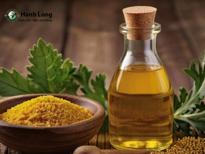 cách trị mối mọt tại nhà