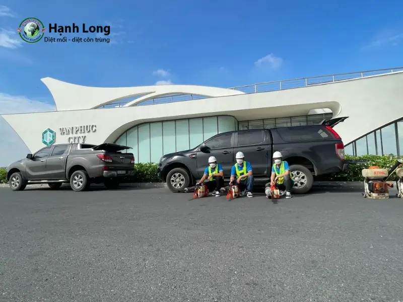 Đơn vị diệt muỗi Hạnh Long tại quận 6