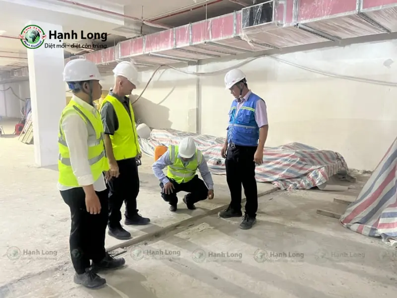 Công ty diệt muỗi Hạnh Long