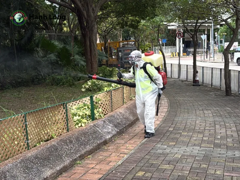 diệt muỗi quận 11 diệt muỗi quận 11