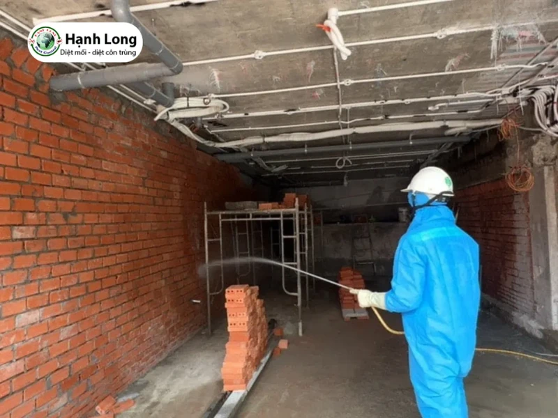 tổ mối đất trong nhà tốt hay xấu tổ mối đất trong nhà tốt hay xấu