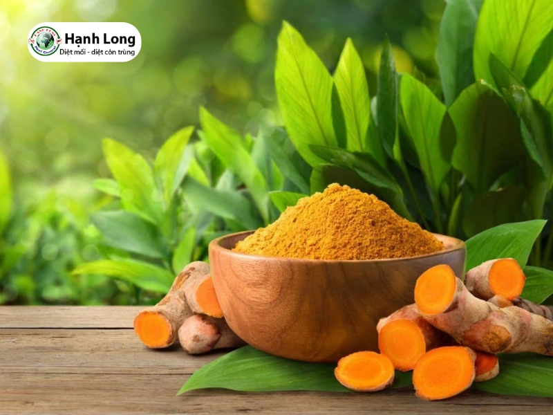 cách diệt mối trong tủ quần áo