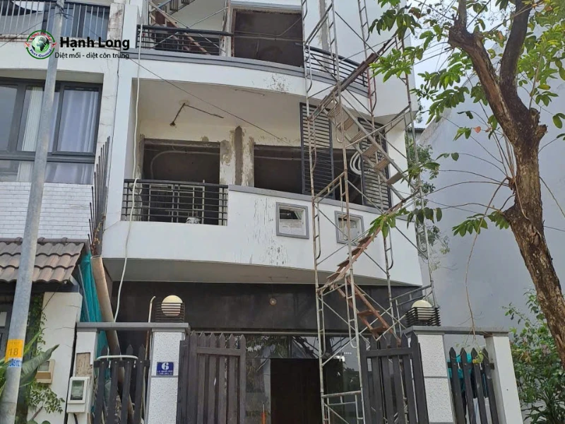 diệt mối tận gốc tại quận 9