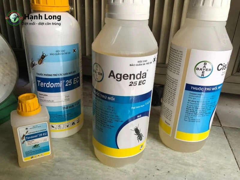 cách diệt mối trong gỗ