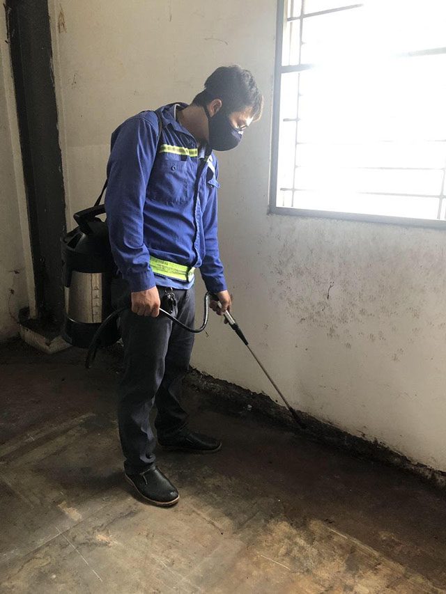 dich-vu-diet-moi-ba-ria-vung-tau