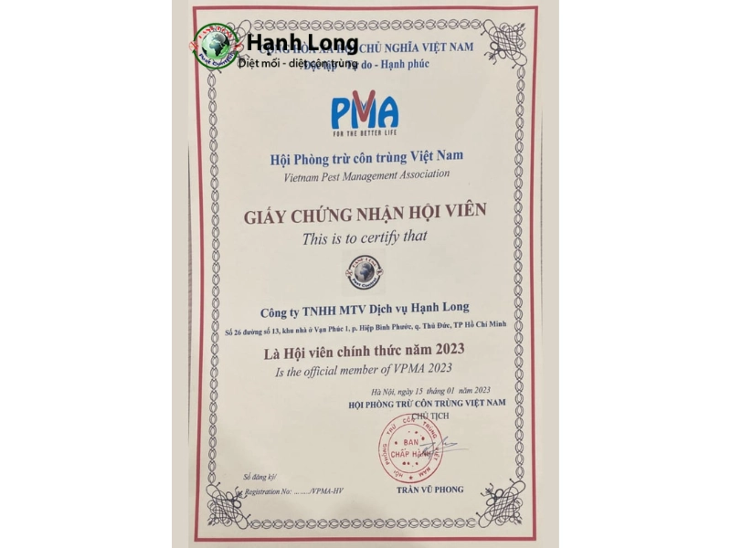dịch vụ diệt mối tại nhà