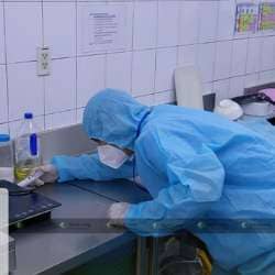 Dịch vụ diệt gián