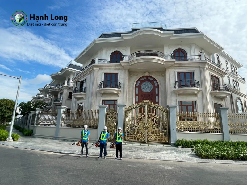 nên diệt muỗi ở giai đoạn nào nên diệt muỗi ở giai đoạn nào