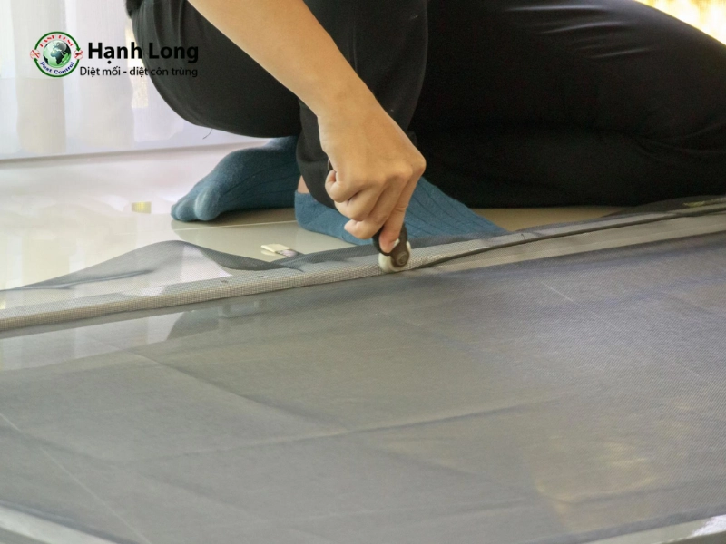 các loại muỗi ở việt nam