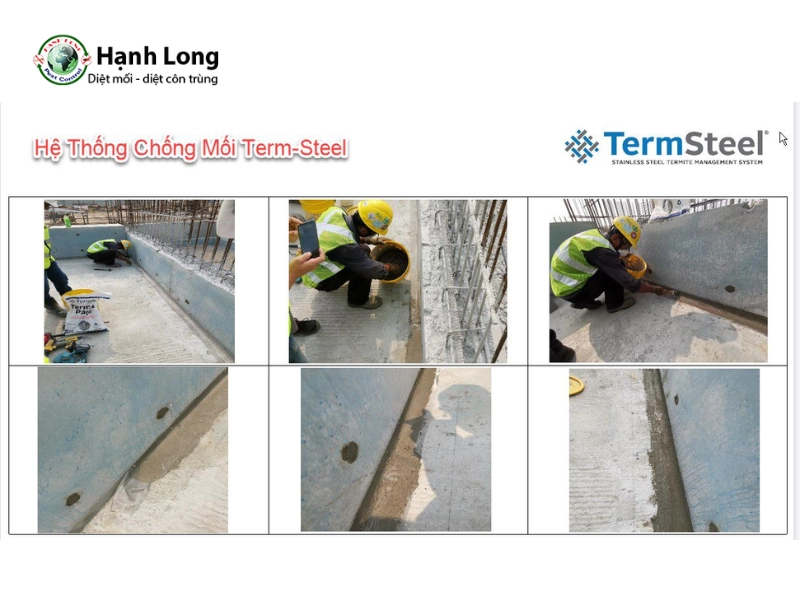 diệt mối tại hcm