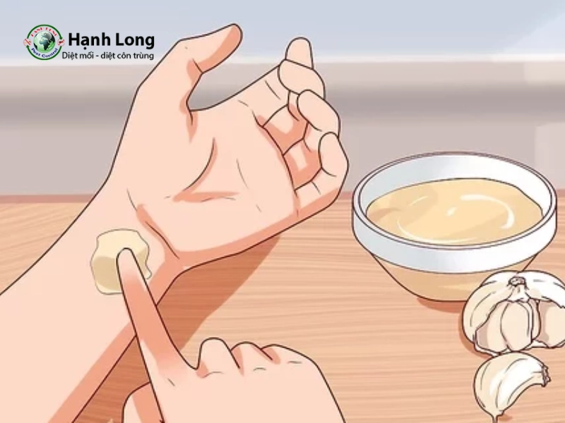 cách đuổi muỗi bằng dầu gió và tỏi cách đuổi muỗi bằng dầu gió và tỏi