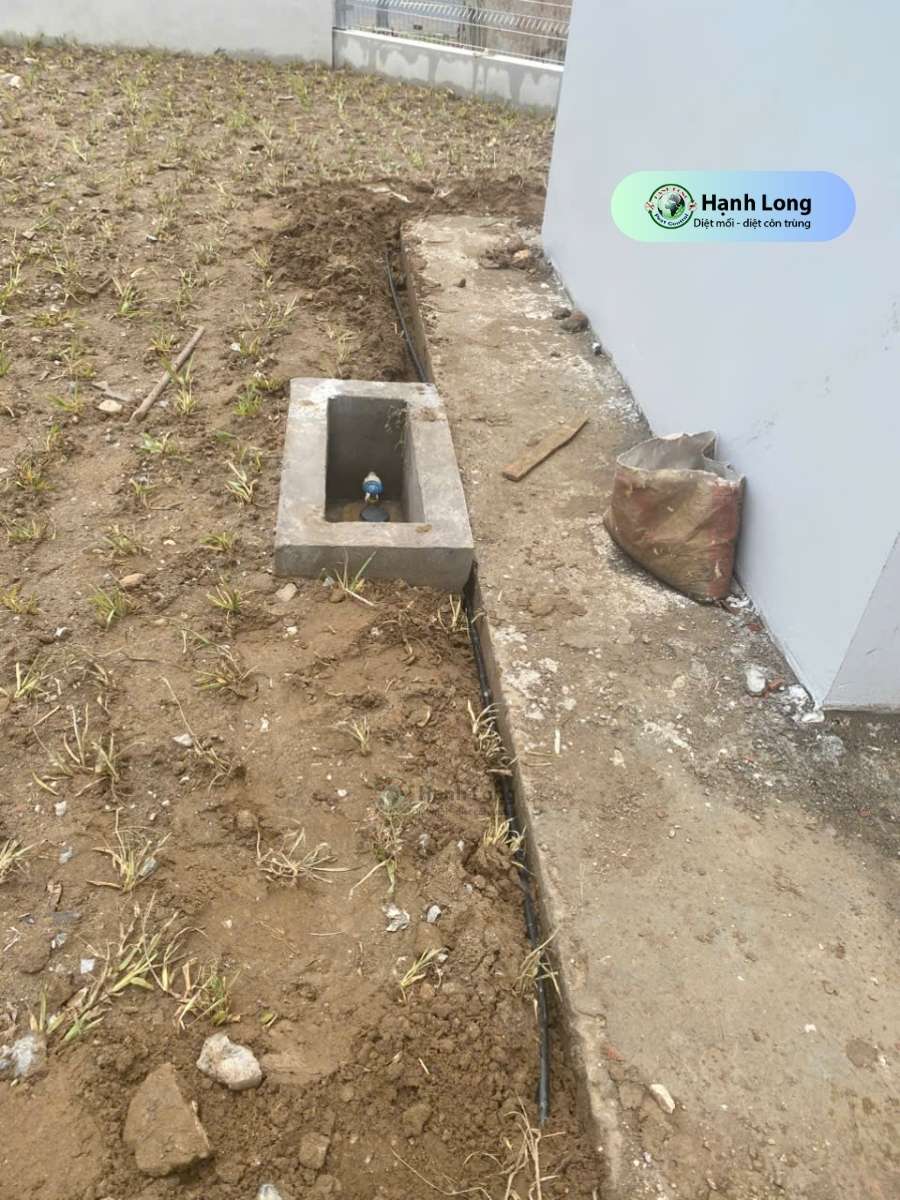 Lắp đặt ống bảo trì Termite Pro tại dự án Mapletree Bắc Giang