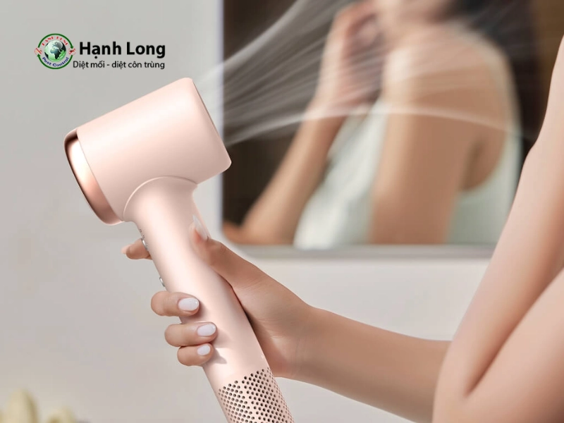 phun thuốc diệt côn trùng tại nhà