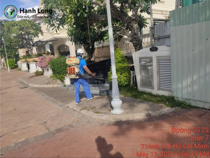 Cách diệt côn trùng triệt để tại nhà - An toàn và hiệu quả