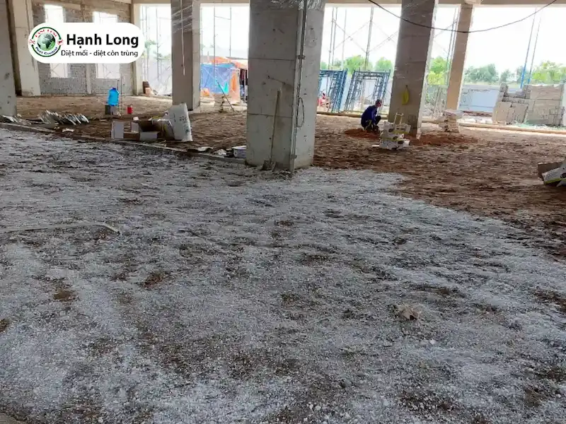 diệt mối khi xây nhà