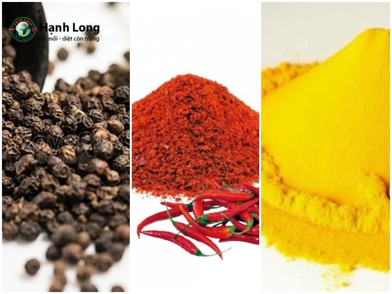 diệt mối sàn gỗ