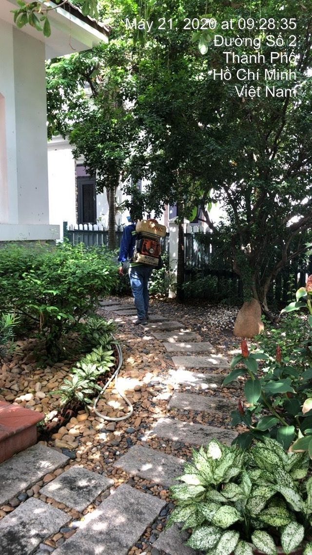 xử lý mối khu vực Bình Dương