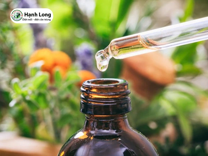 cách đuổi mối cánh