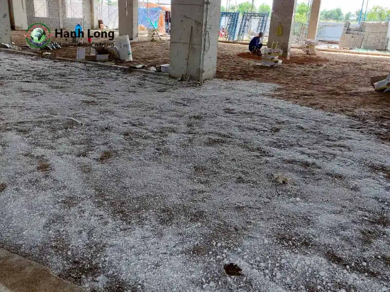 kinh nghiệm diệt mối kinh nghiệm diệt mối