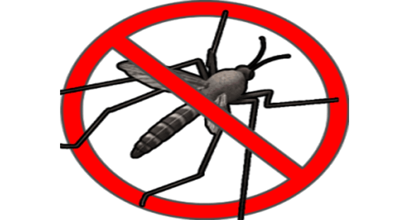 Dịch vụ diệt muỗi tại nhà hạnh long
