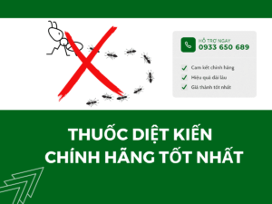 Thuốc diệt kiến sinh học tận gốc tốt nhất