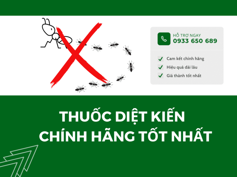 Thuốc diệt kiến sinh học tận gốc tốt nhất