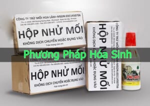 Hộp nhử mối có độc hại không