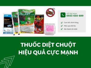 Thuốc diệt chuột hiệu quả cực mạnh