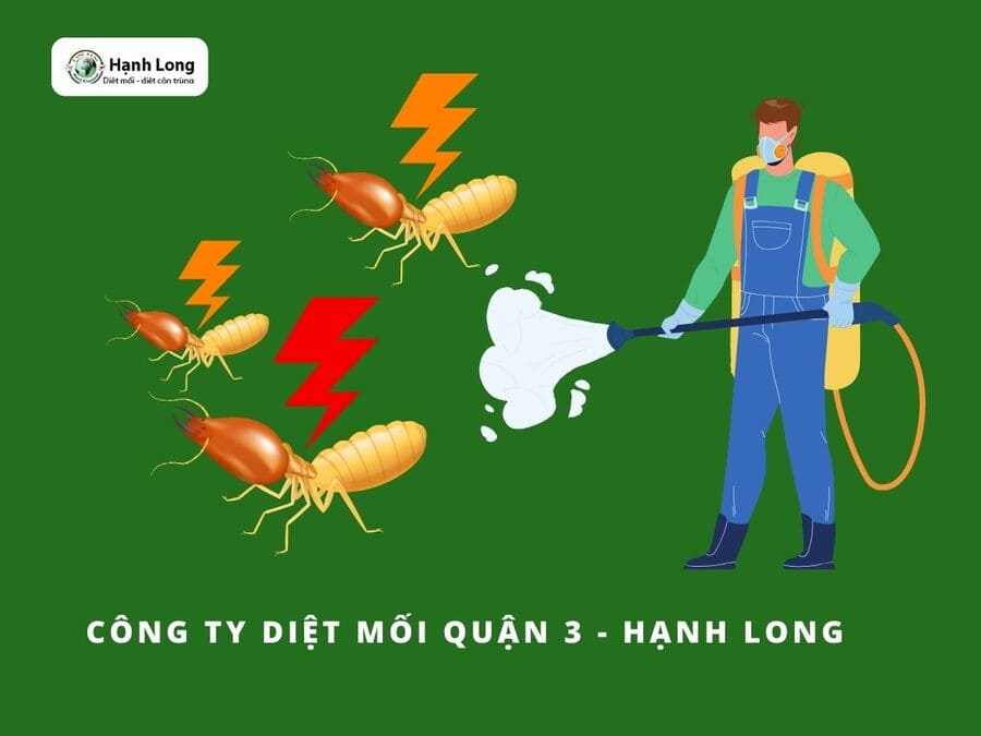 Công ty diệt mối quận 3 uy tín