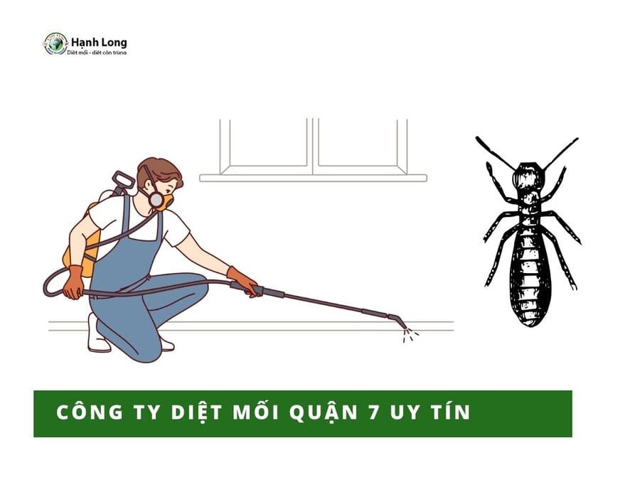 Quy trình diệt mối tận gốc tại quận 7