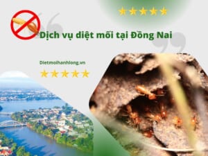 Diệt mối tại Đồng Nai tận gốc