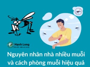 Nguyên nhân nhà nhiều muỗi và cách phòng muỗi hiệu quả