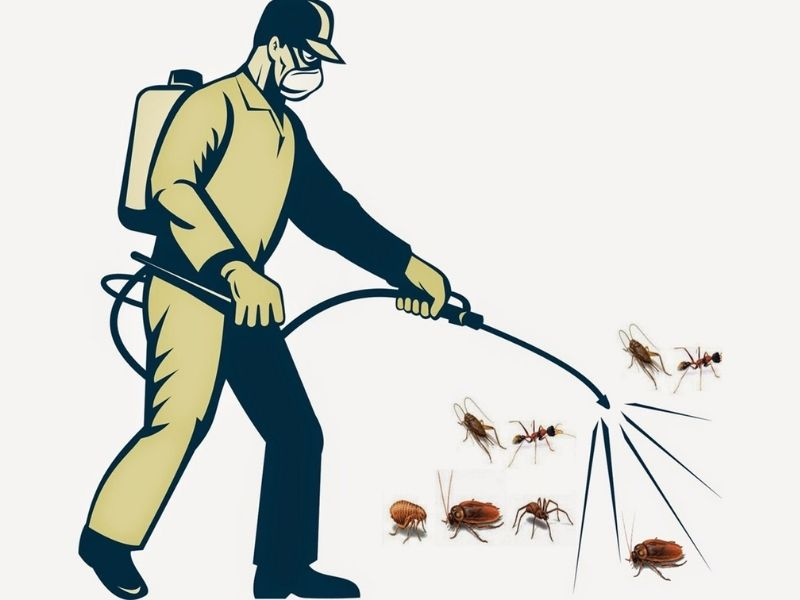Tiêu chí đảm bảo dụng thuốc diệt muỗi sinh học an toàn