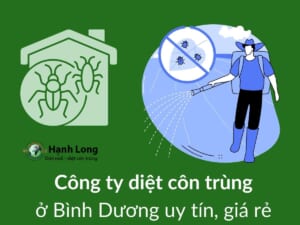 Công ty diệt côn trùng tại Bình Dương uy tín, giá rẻ - Hạnh Long