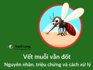 Vết muỗi vằn đốt