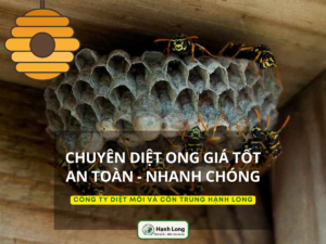 Dịch vụ bắt và diệt ong