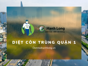 Các dịch vụ diệt côn trùng tại Quận 1