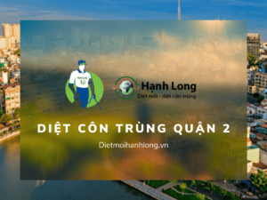 Các dịch vụ diệt côn trùng Quận 2