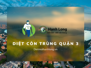 Các gói diệt côn trùng tại Quận 3 tận gốc