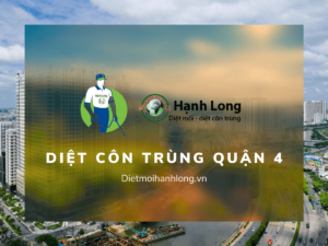 Dịch vụ diệt côn trùng quận 4