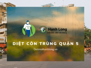 Dịch vụ diệt côn trùng tại quận 5