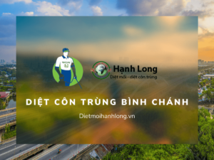 Diệt côn trùng Bình Chánh