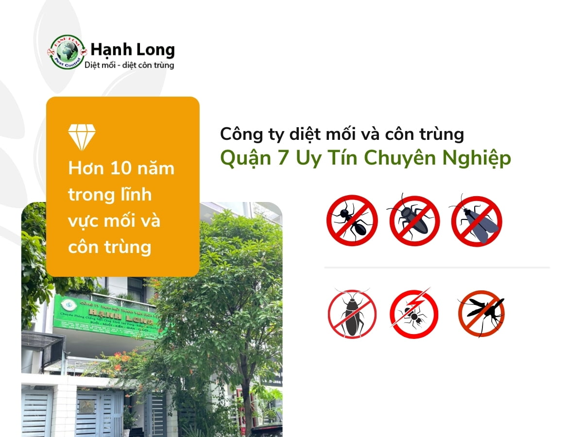 Công ty dệt côn trùng tại quận 7