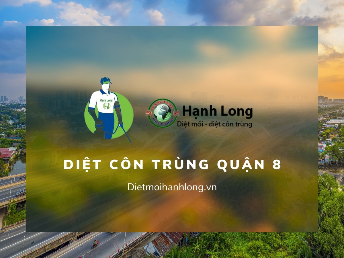 Công ty diệt côn trùng tại quận 8