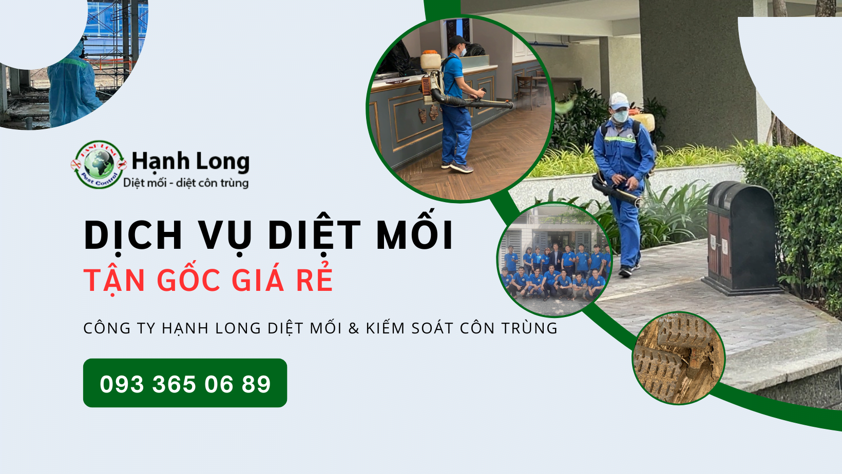 dịch vụ diệt mối Phú Quốc ảnh 5