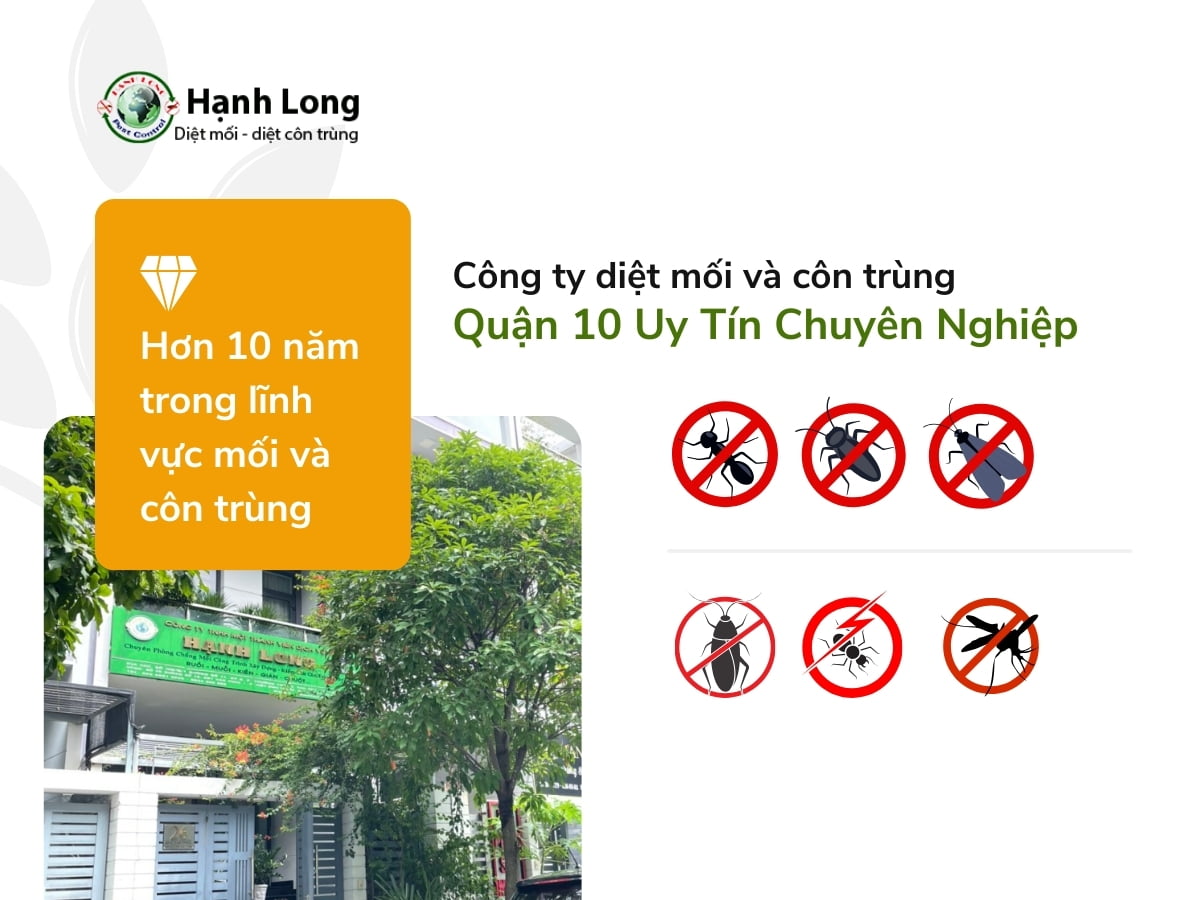 Đơn vị diệt côn trùng tại quận 10 giá rẻ